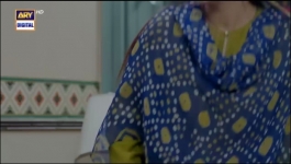 Pal Do Pal - Episode 12 - 5th August 2025